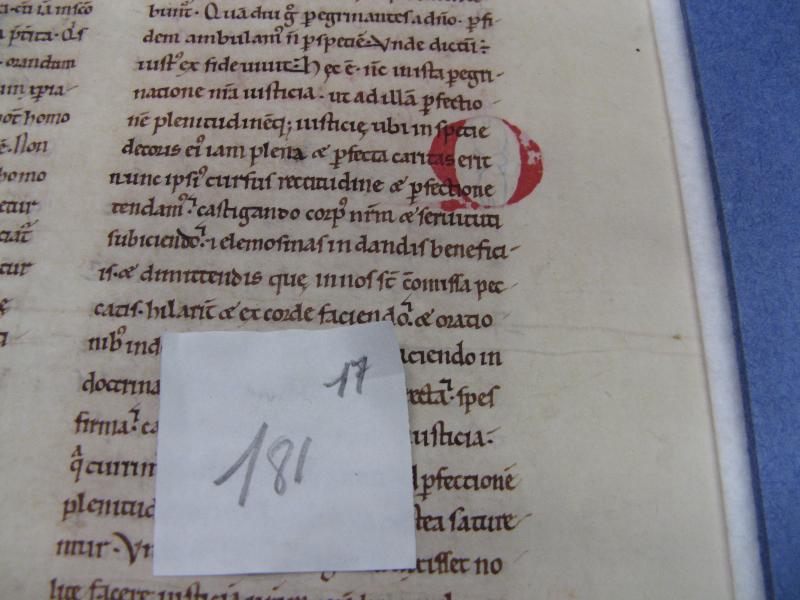 16. Exemple de "migration" des pigments à travers le feuillet (ms. 17).